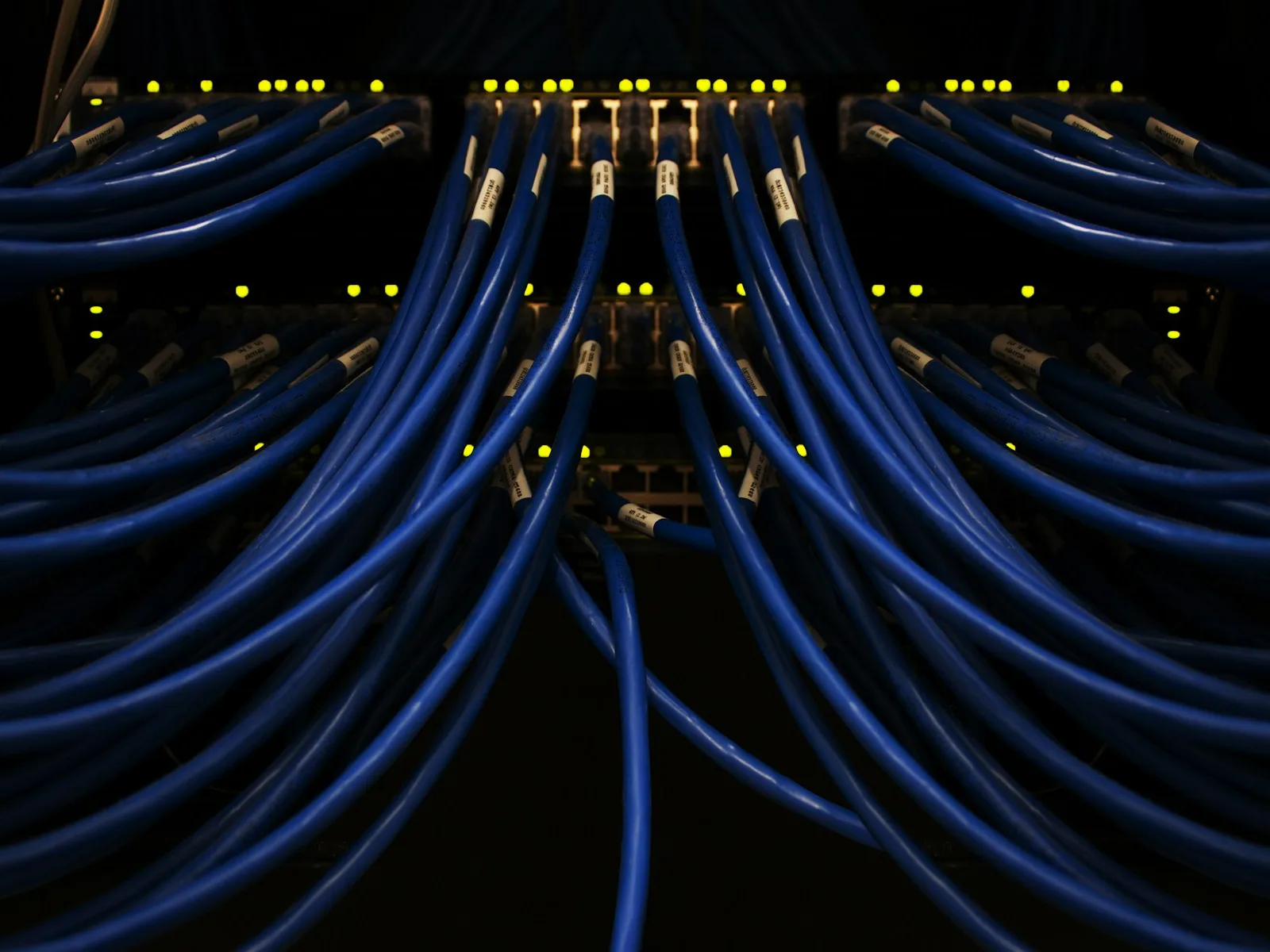 Geordnete blaue Netzwerkkabel verbinden mehrere Anschlüsse eines Geräts.