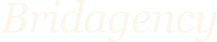 Bridagency